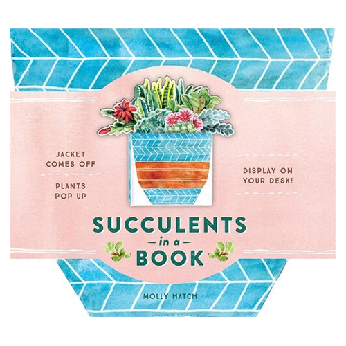 Succulents in a Book / Jacket Comes Off. Plants Pop Up. Display on Your Desk! (Hardcover)(UpLifting Edition)