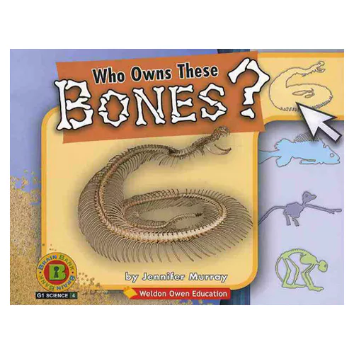 Brain Bank Grade 1 Science 04 Workbook Set / Who Owns These Bones?