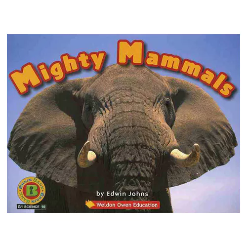 Brain Bank Grade 1 Science 10 Workbook Set / Mighty Mammals