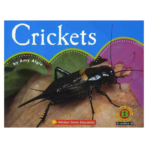 Brain Bank Grade 1 Science 20 Workbook Set / Crickets